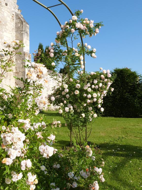 Manoir Du Plessis Au Bois Bed & Breakfast Vauciennes  Exterior foto